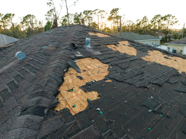 Best Slate Roofing  in Elsmere, DE