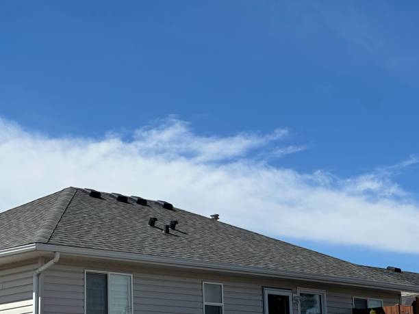 Best Gutter Installation and Repair  in Elsmere, DE
